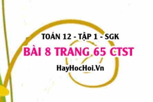 Bài 8 trang 65 Toán 12 tập 1 Chân trời sáng tạo